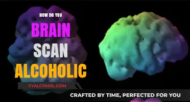Brain Scanning Alcoholics: Unveiling the Impact of Alcohol on Neural Function