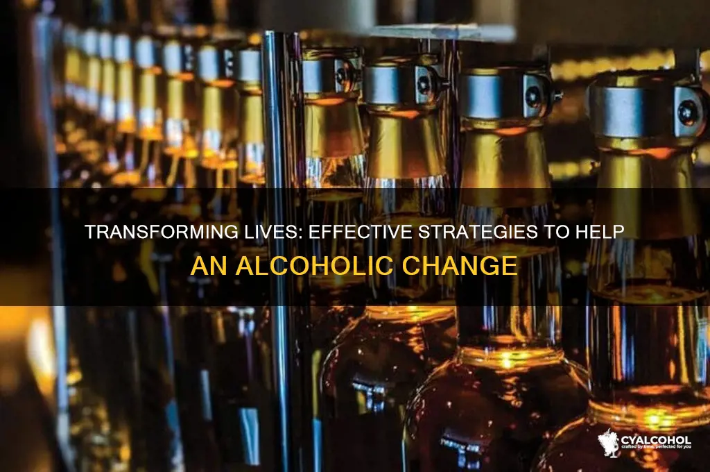how do you change an alcoholic