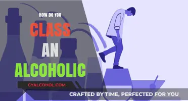 Understanding Alcoholism: Defining Criteria for Classifying an Alcoholic