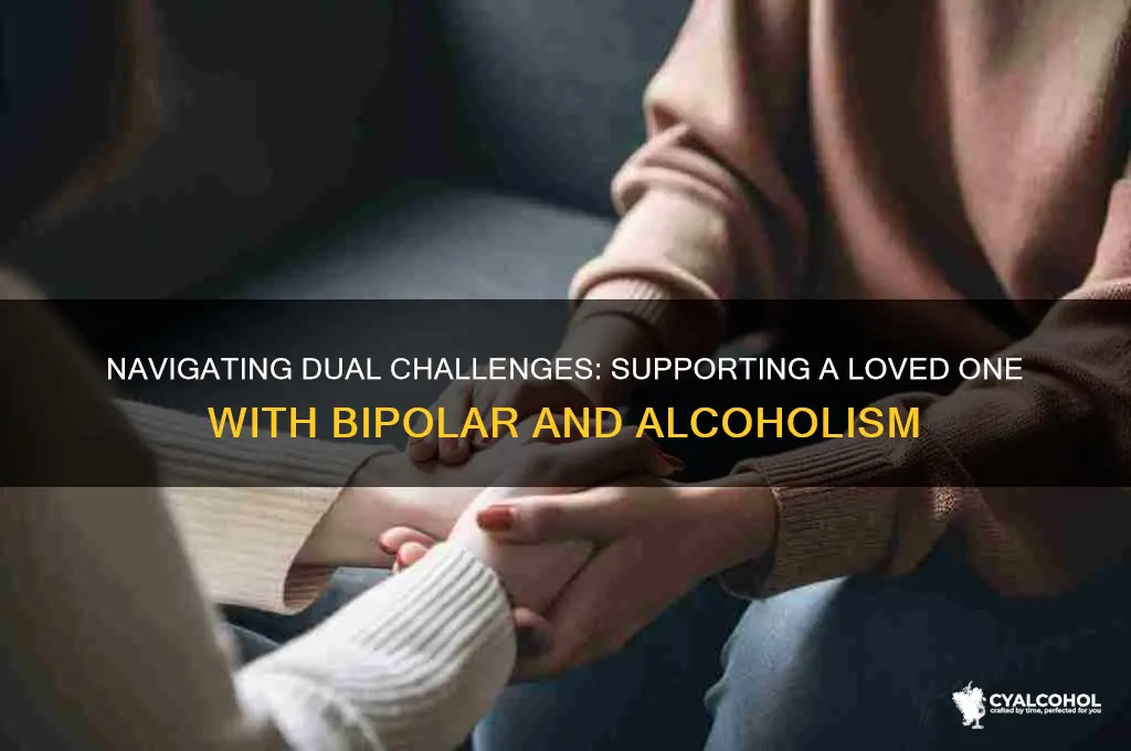 how do you cope with a bipolar alcoholic