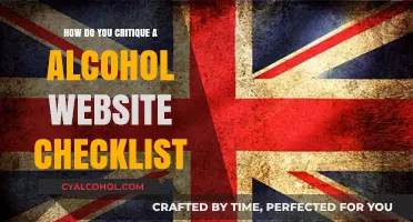 Evaluating Alcohol Websites: A Comprehensive Critique Checklist Guide