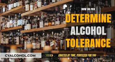 Understanding Alcohol Tolerance: Factors, Limits, and Personal Variations Explained