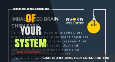 Detoxing Alcohol: Flushing Out the Poison