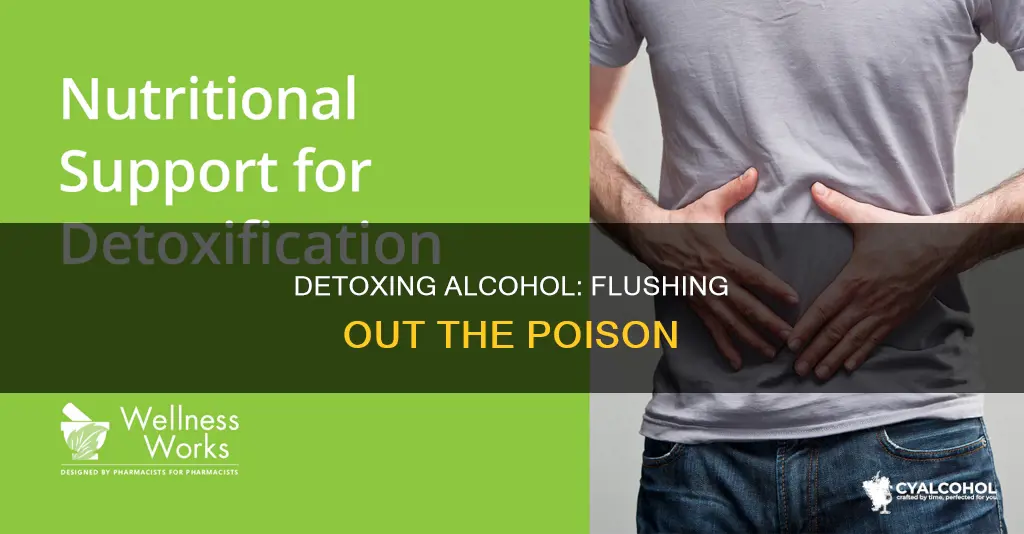 how do you detox alcohol out of your system