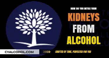 Effective Kidney Detox Strategies to Eliminate Alcohol Toxins Naturally