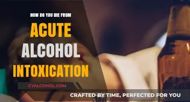 Deadly Consequences: Understanding Fatal Acute Alcohol Intoxication Risks