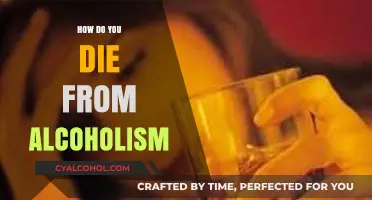The Deadly Consequences of Alcoholism: Understanding How It Kills