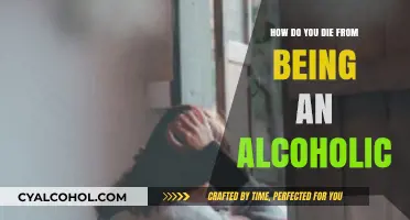 Deadly Consequences: Understanding Alcoholism's Lethal Impact on the Body
