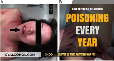 Alcohol Poisoning: A Preventable Killer