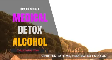 Safe Alcohol Detox: A Comprehensive Guide to Medical Detoxification