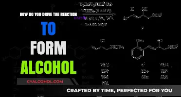 Catalyzing Alcohol Formation: Strategies and Techniques