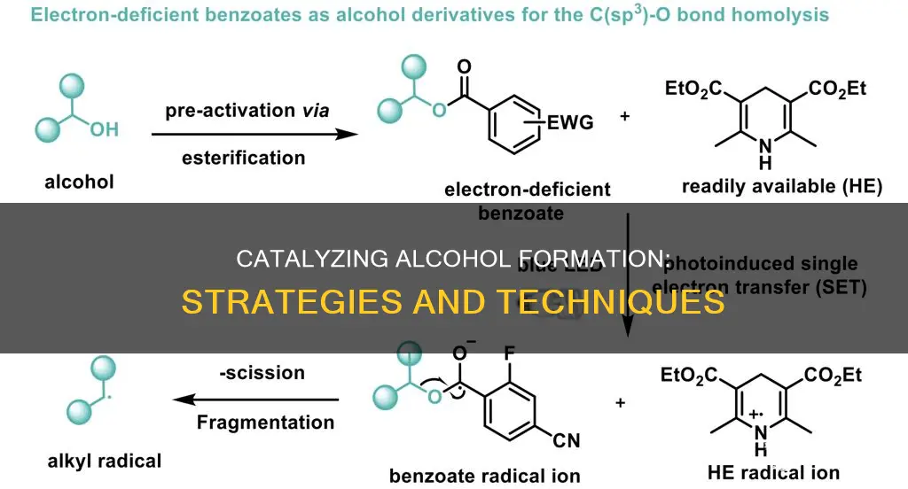 how do you drive the reaction to form alcohol