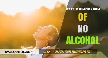 A Clear Mind: Two Weeks Without Alcohol