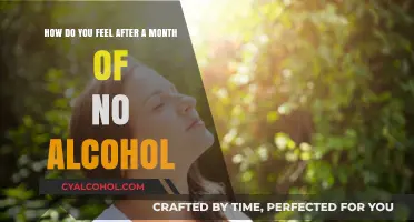 Alcohol-Free for a Month: Feeling Refreshed and Revitalized