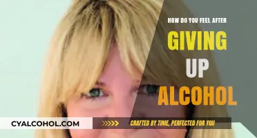 Sober Clarity: Embracing Life After Giving Up Alcohol