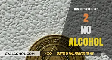 Day 2 Sober: Navigating Emotions Without Alcohol – My Journey