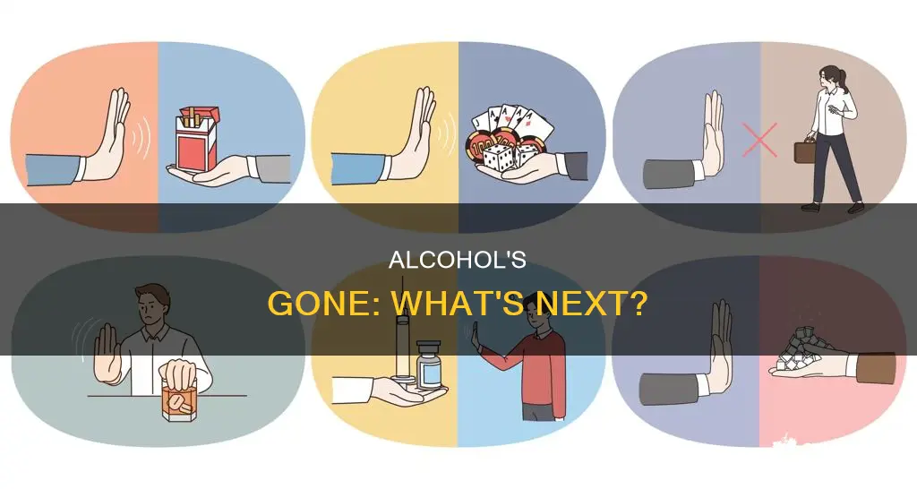 how do you feel when alcohol leaves the system