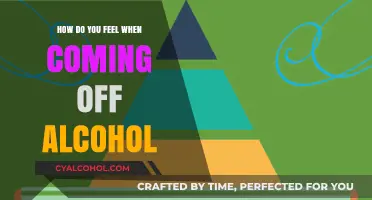 Navigating Sobriety: Emotional and Physical Challenges of Quitting Alcohol