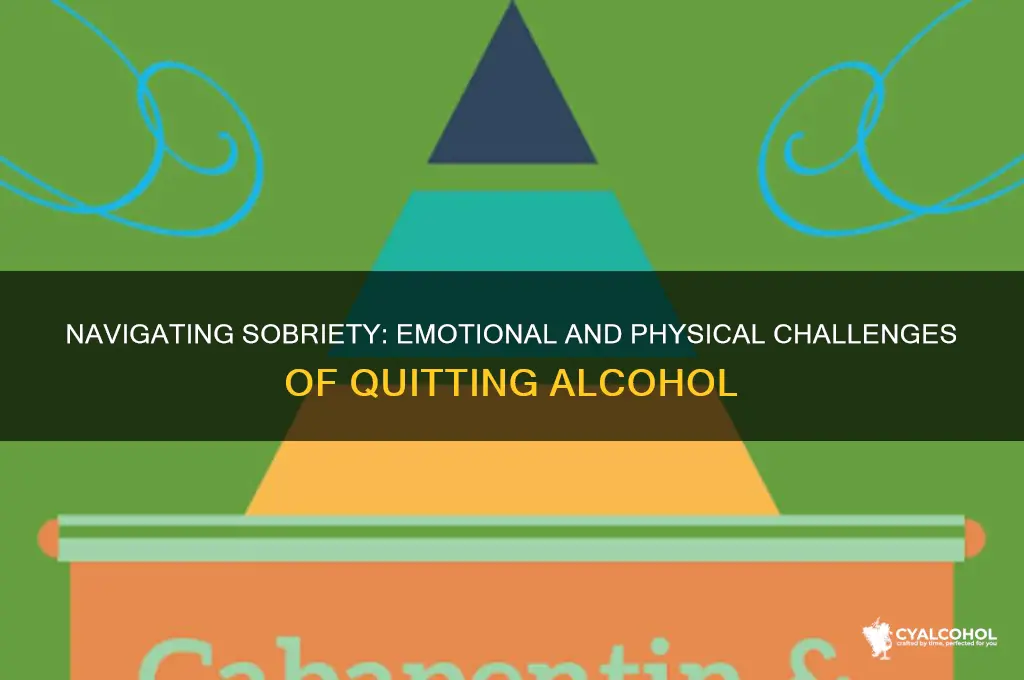 how do you feel when coming off alcohol
