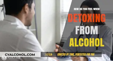 Emotional Rollercoaster: Navigating the Complex Feelings of Alcohol Detox