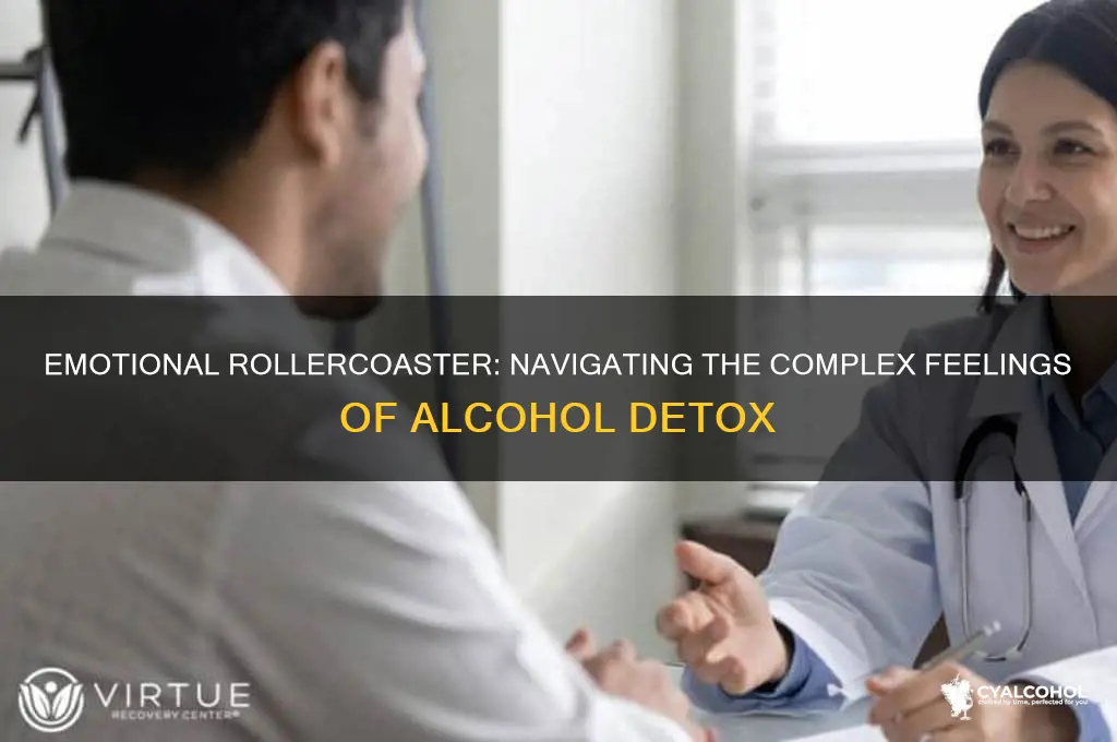 how do you feel when detoxing from alcohol