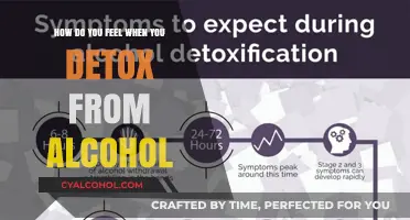 Alcohol Detox: Feeling the Healing