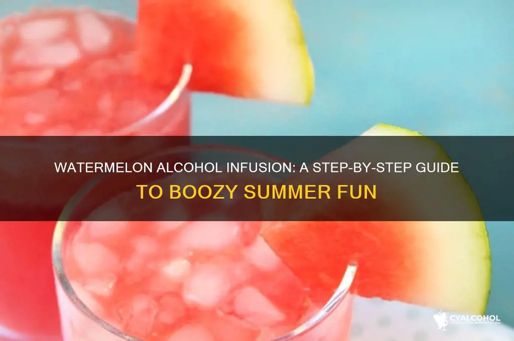 how do you fill a watermelon with alcohol