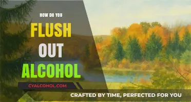 Effective Ways to Flush Alcohol from Your System Safely and Quickly