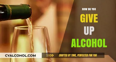 Breaking Free: A Guide to Giving Up Alcohol and Reclaiming Your Life