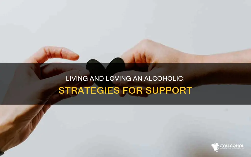 how do you have a relationship with an alcoholic