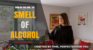 Effective Ways to Conceal Alcohol Odor: Tips and Tricks