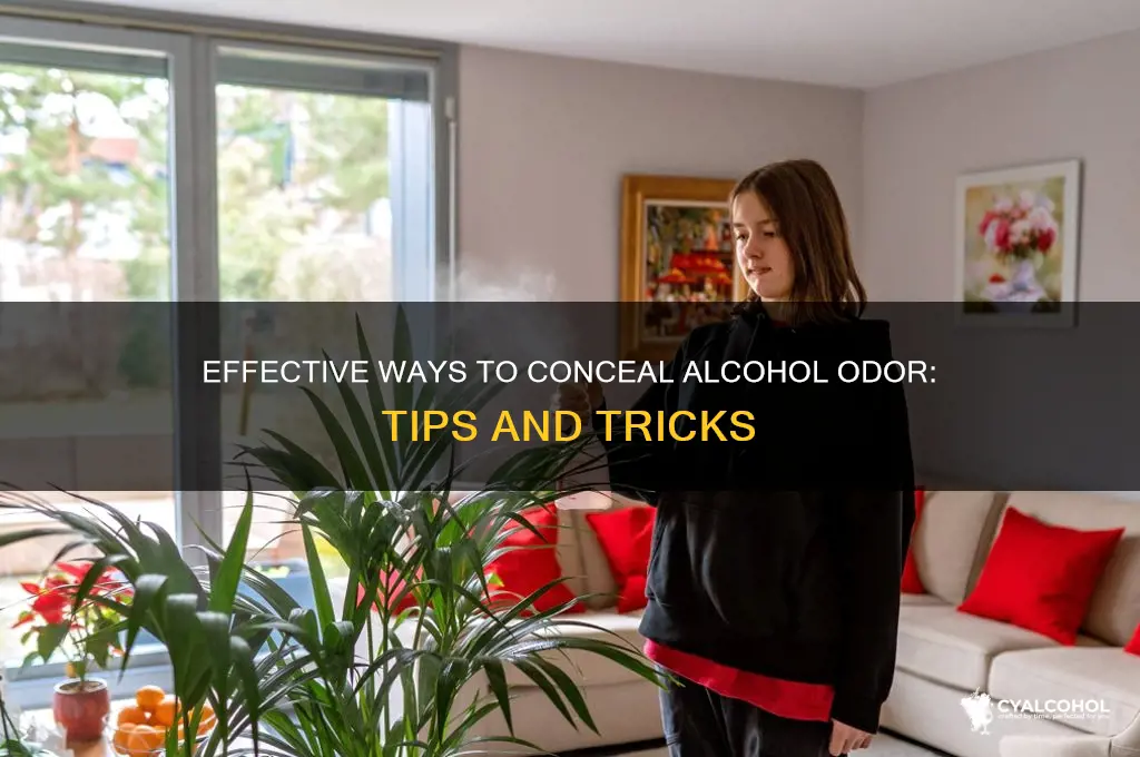 how do you hide the smell of alcohol