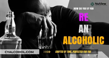 Recognizing Alcoholism: Signs, Symptoms, and Steps to Seek Help