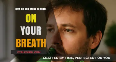 Effective Ways to Conceal Alcohol Breath: Quick Tips and Tricks