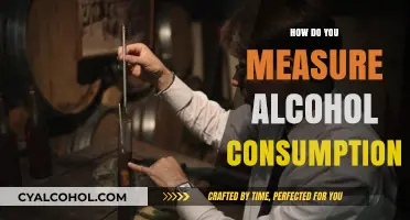 Accurately Tracking Alcohol Intake: Methods to Measure Consumption Effectively