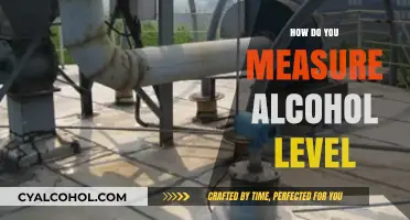 Accurate Alcohol Level Measurement: Methods, Tools, and Best Practices