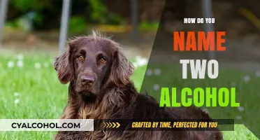 Naming Two Alcohols: A Simple Guide to Chemical Nomenclature