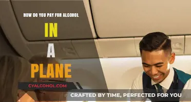 Purchasing Alcohol on a Plane: Payment Options Explored