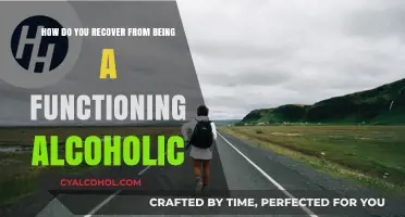 Breaking Free: Recovering from Functional Alcoholism