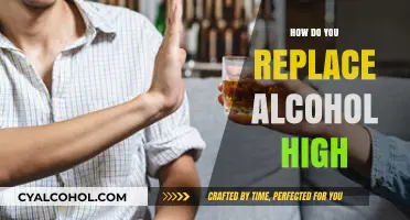 Replacing Alcohol's High: Healthy Alternatives for a Sober Lifestyle