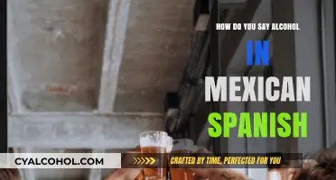 How to Say Alcohol in Mexican Spanish: A Quick Guide