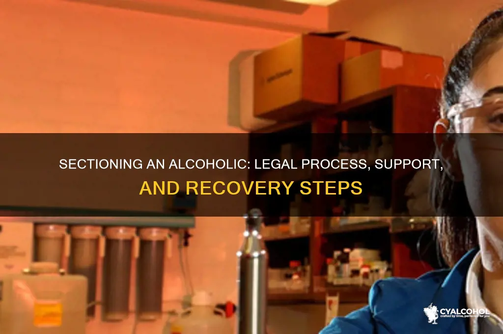how do you section an alcoholic