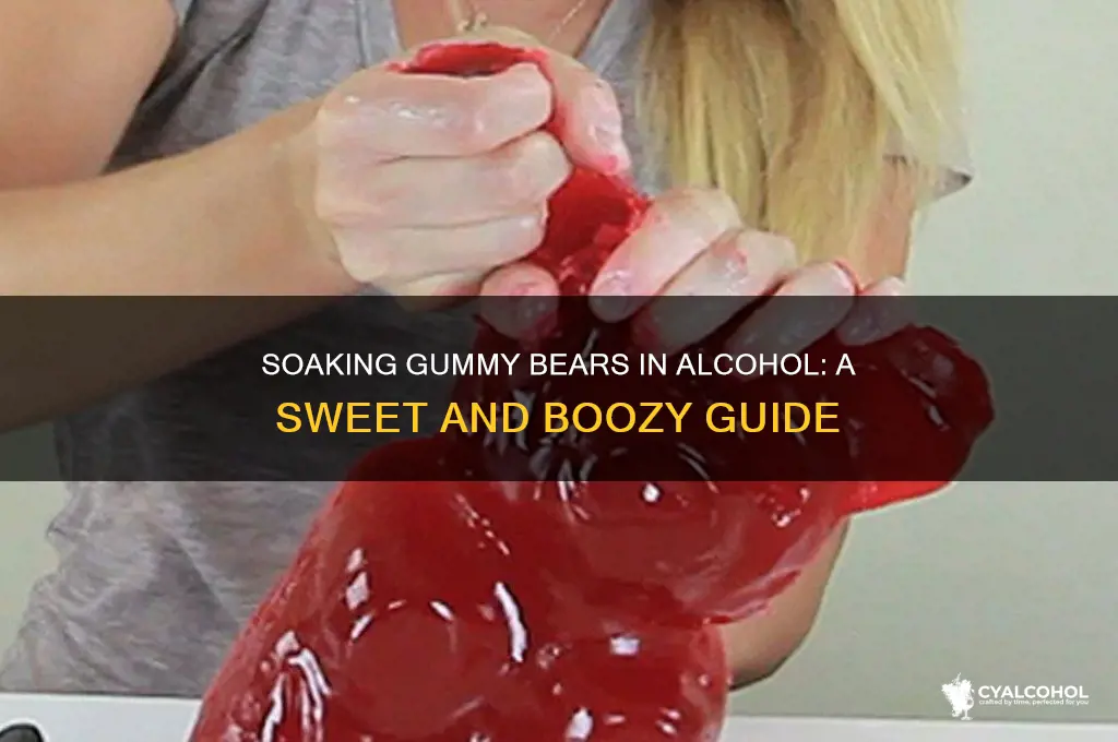 how do you soak gummy bears in alcohol