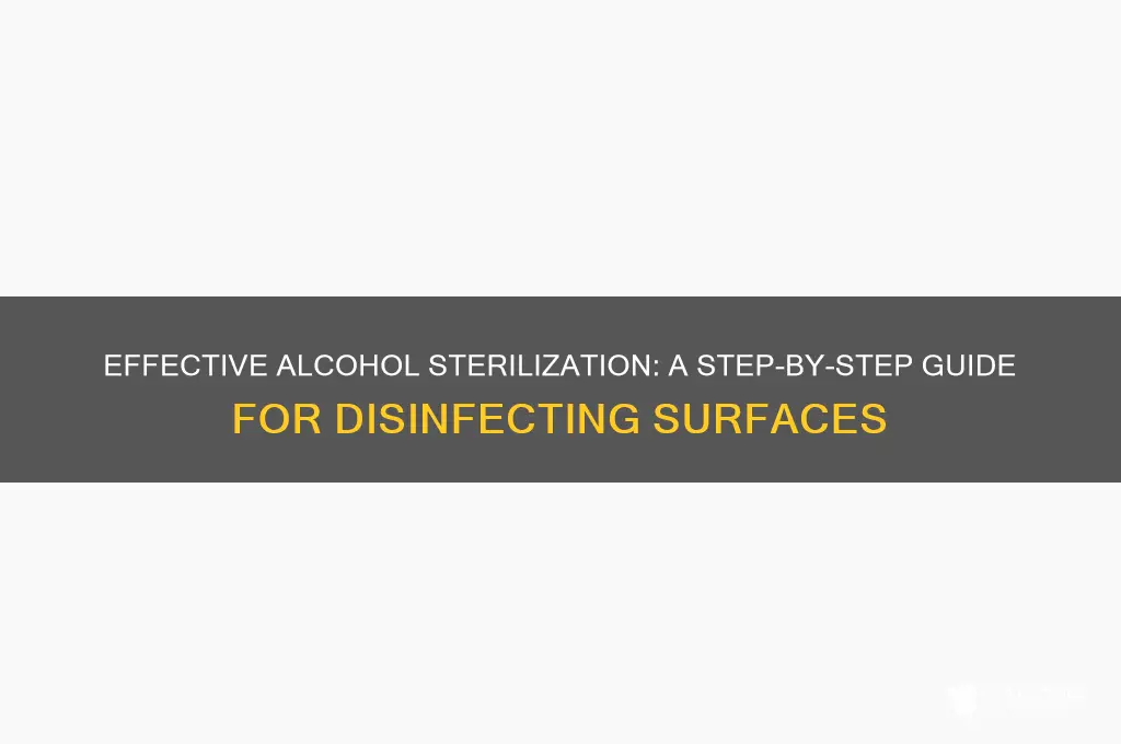 how do you sterilize with alcohol