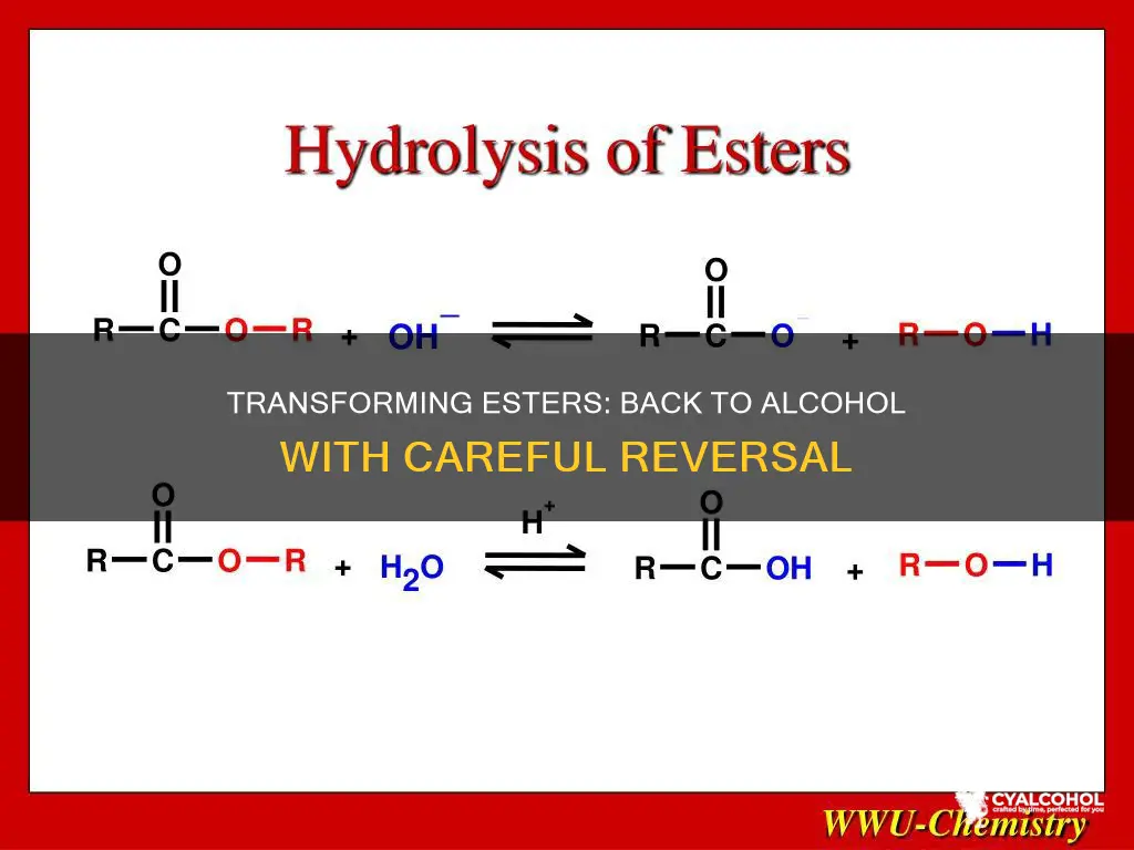 how do you turn an ester back into an alcohol