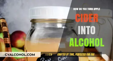 Fermenting Apple Cider: A Simple Guide to Homemade Alcoholic Cider