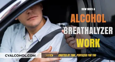 Understanding Alcohol Breathalyzers: How They Detect Blood Alcohol Levels