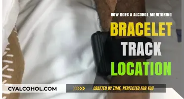 How Alcohol Monitoring Bracelets Track Location: Technology Explained
