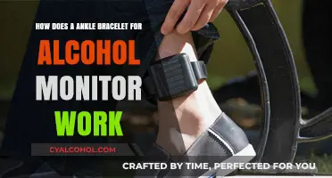 Ankle Bracelets: Monitoring Alcohol, How Do They Work?