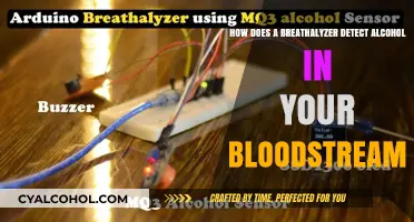 Breathalyzers: How They Detect Alcohol in Blood